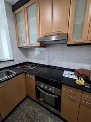 Riverside 48 (D9), Apartment #556961031